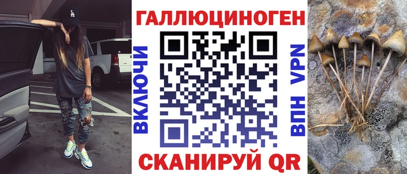 Купить где  Сорск  Псилоцибиновые грибы мухоморы 