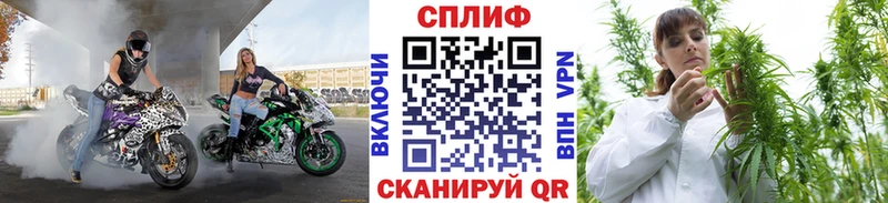 Купить где  Сорск  Марихуана THC 21% 